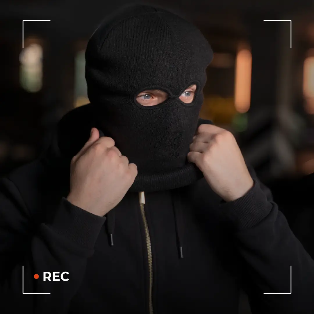 1Alertas a tiempo real 1 servicio de camaras de seguridad
